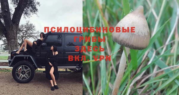 винт Дмитровск