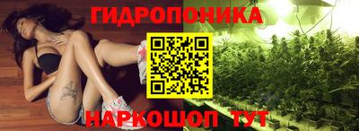 амф Балахна