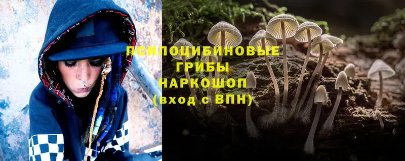 Псилоцибиновые грибы мухоморы  Новотроицк 