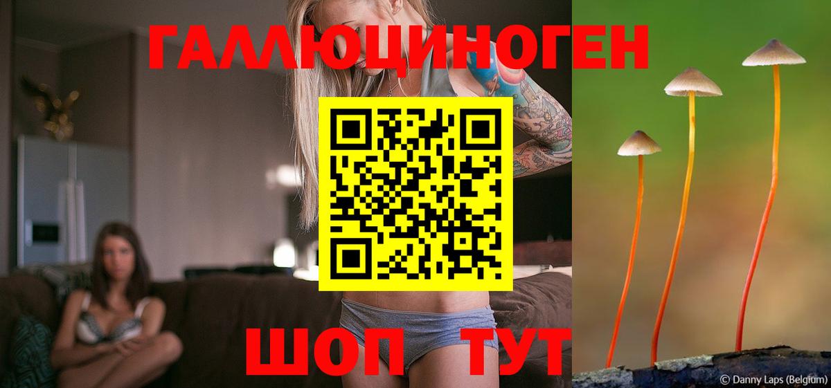 Псилоцибиновые грибы ЛСД  Галлюциногенные грибы мицелий  Новотроицк 