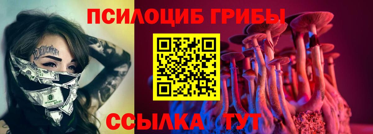 Новотроицк  как найти закладки  Вход с VPN  Псилоцибиновые грибы ЛСД 