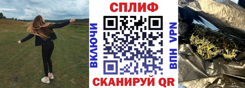 Шишки марихуана семена  цены наркотик  Новотроицк 