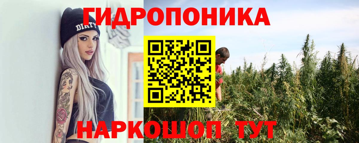 Канабис SATIVA & INDICA  Конопля планчик  Новотроицк 